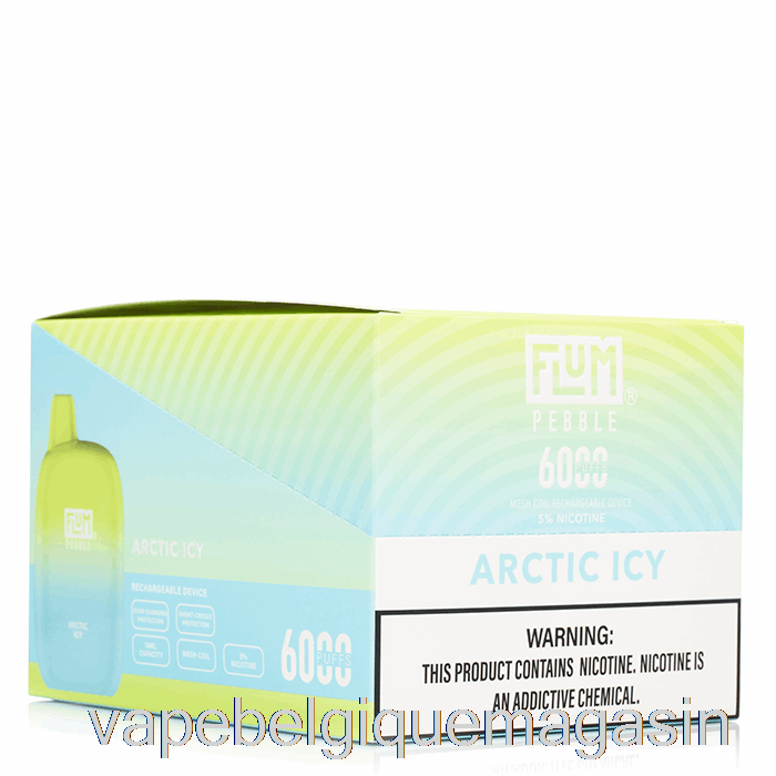 Vape Belgique [10-pack] Flum Pebble 6000 Jetable